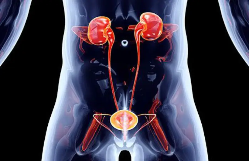 Male Urology Doctor in Delhi