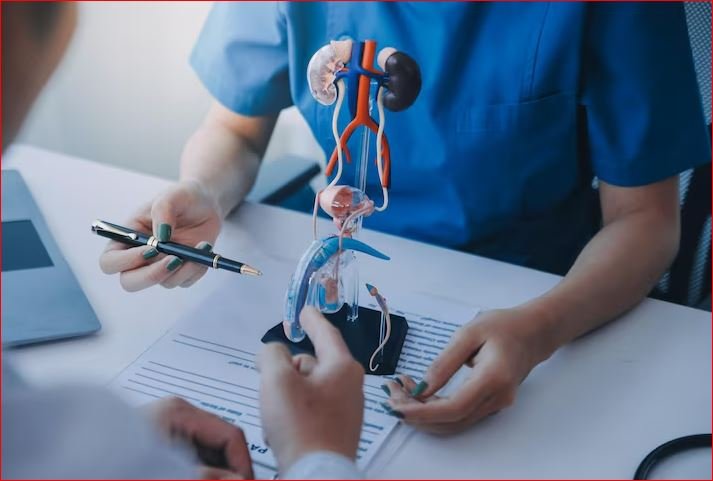 Best Urologist in Delhi